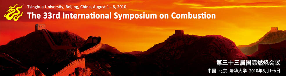http://www.combustion2010.org/skin/resources/images/banner.jpg