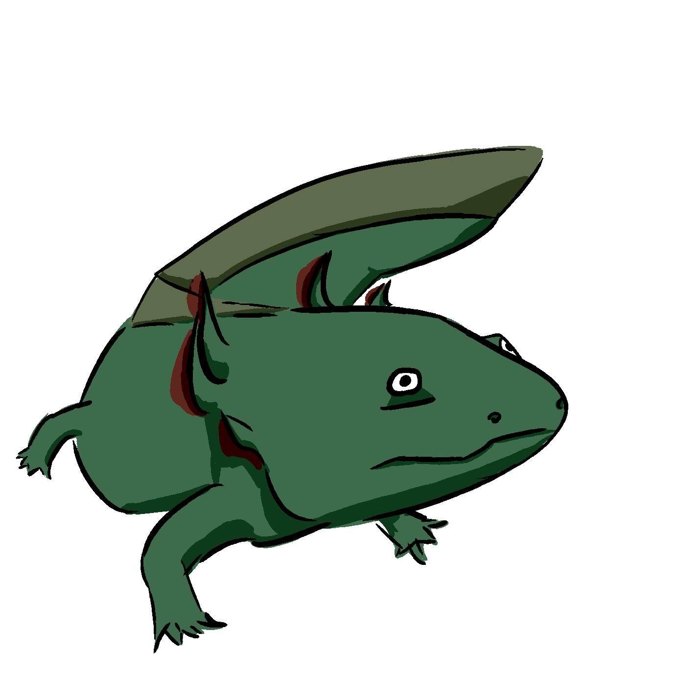 Image of an Axolotl