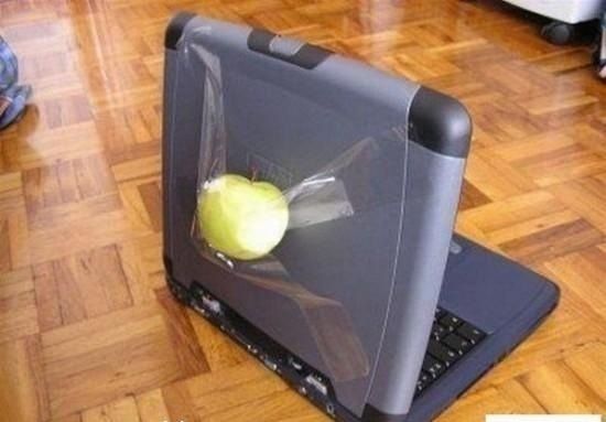 Apple
                Computer:
