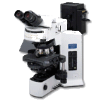 Optical Microscopy.gif